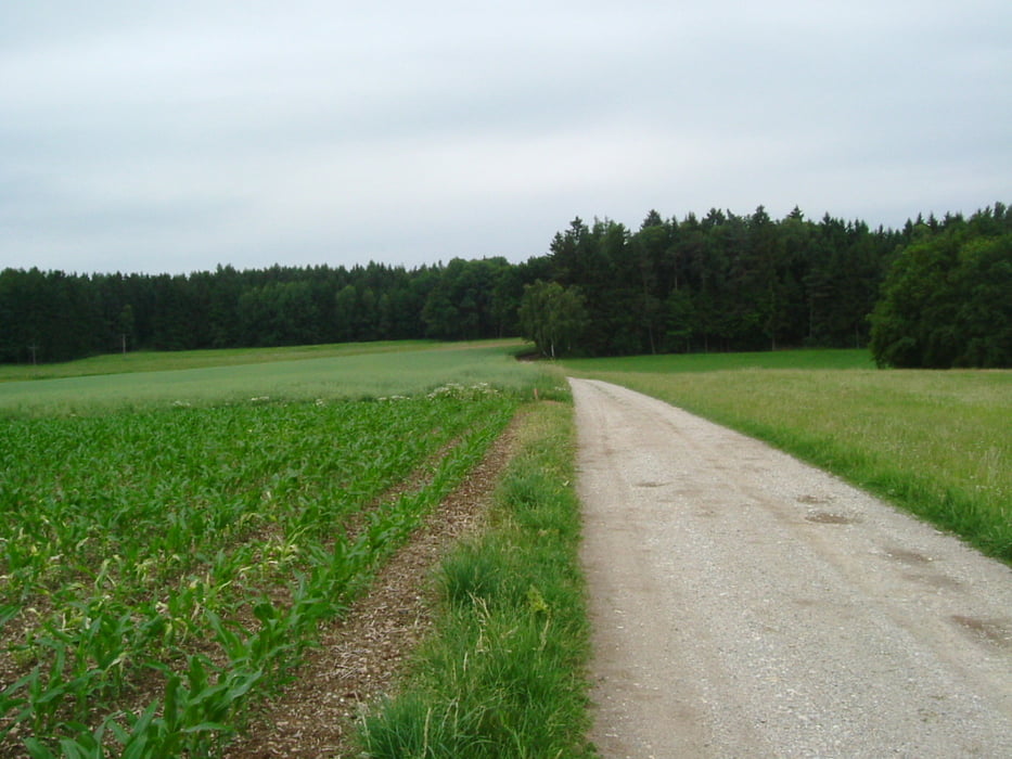 DGF-016-Schmidlkofen-2