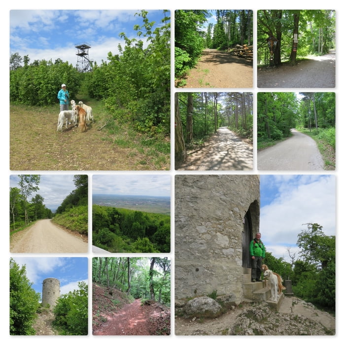 Richardhof - Krauste Linde - Jubiläumswarte - Wilhelmswarte - Beethoven Wanderweg