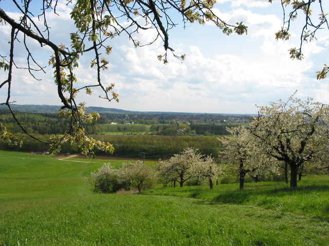 Altdorfer Rundwanderweg 8a (Hegnenberg- Raschbach-Pühlheim)