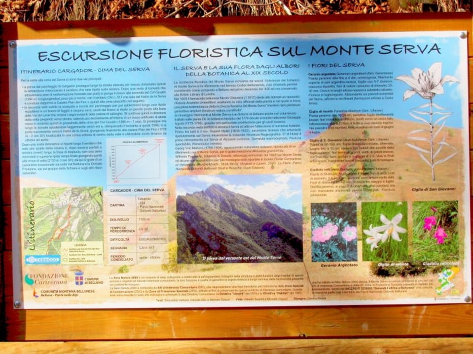Val del Sal (M.Serva Dolomiti Bellunesi)
