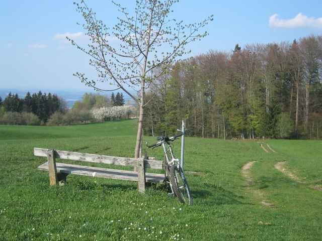 Von Altenbeuren über den Samerberg