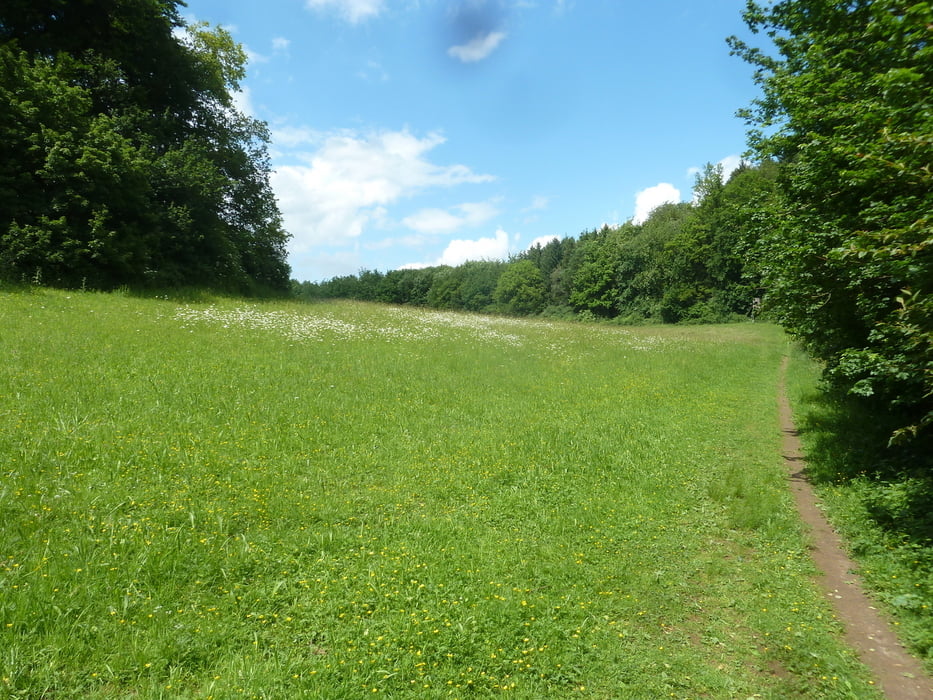 Holthausen-Hünenpforte-Weißenstein aus Rother Wanderführer "Sauerland" Nr. 40