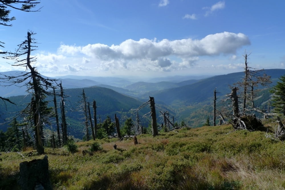 Cervenohorske sedlo - Keprnik - Cervenohorske sedlo