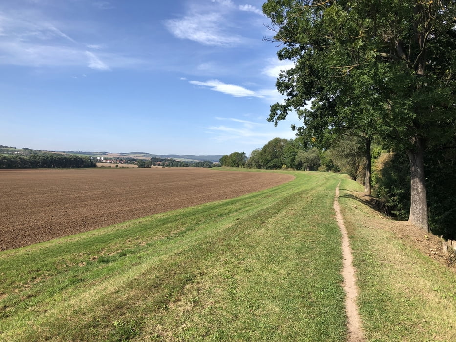 Bad Frankenhausen: MTB 1 Kyffhäuser