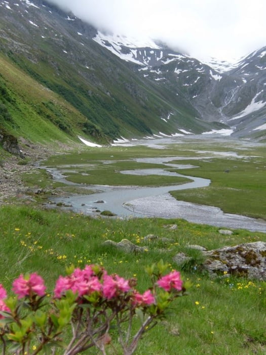Rundwanderung im Frisal-Tal