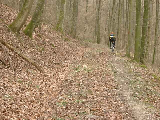 Zwischen Zabergäu und Kraichgau