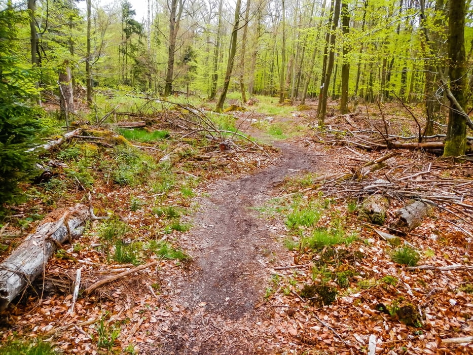 Kirschweiler - Mackenrodt - Algenrodt - Siesbach