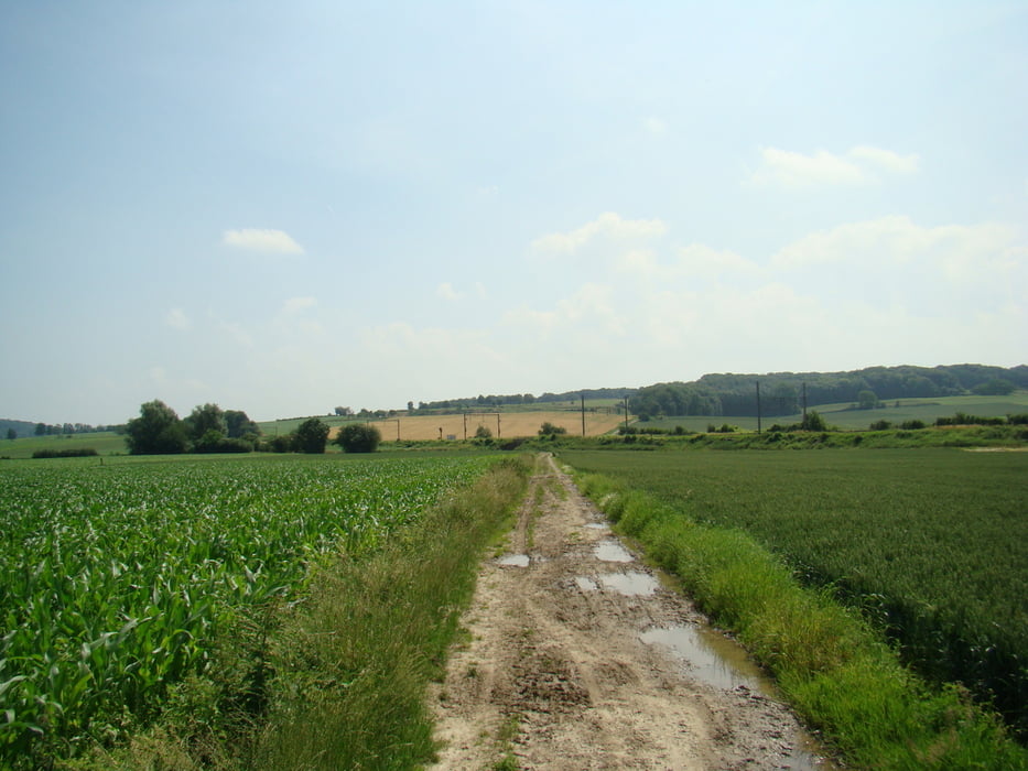 Wandelen in de voerstreek