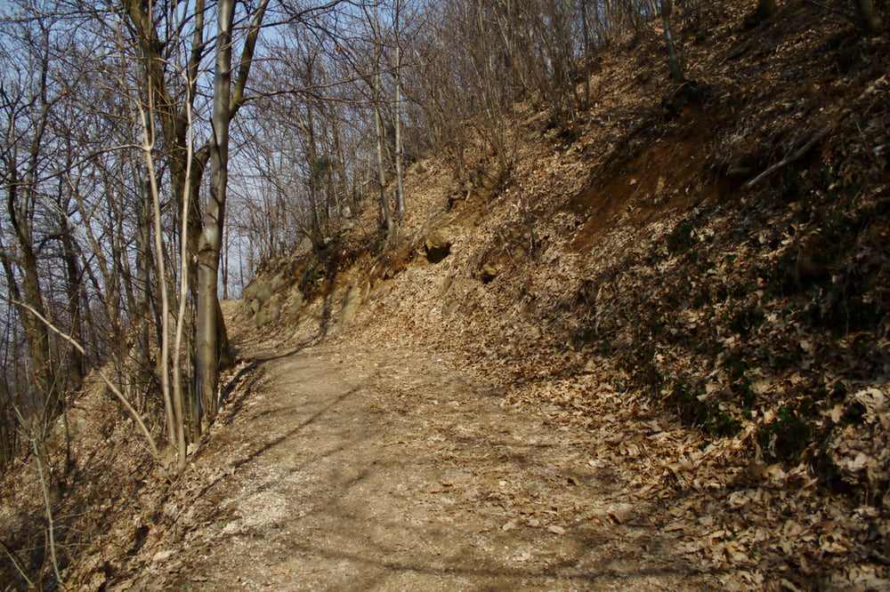 Monte Grande