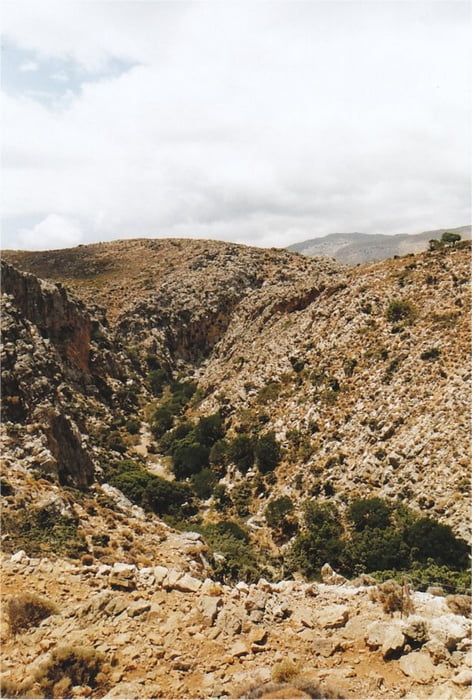 Gorge of Dead (E4)