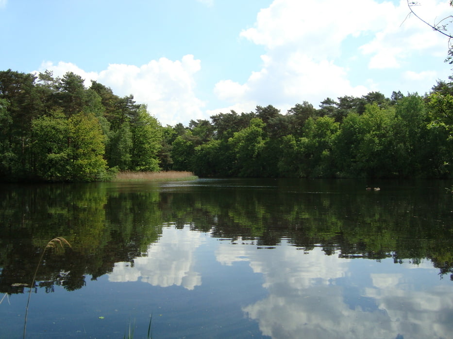 Natuurpark Bolderberg
