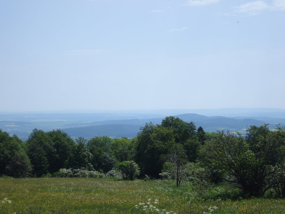 Schwarzes Moor - Heidelstein