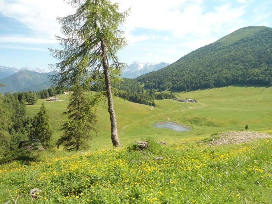 MALGA STABIO