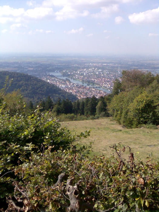 Single-Trail Tour Wiesloch Königsstuhl