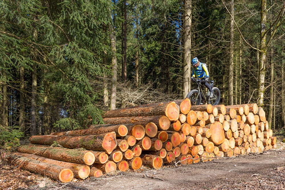 Busenbach-Dobel-Bad Herrenalb-Busenbach