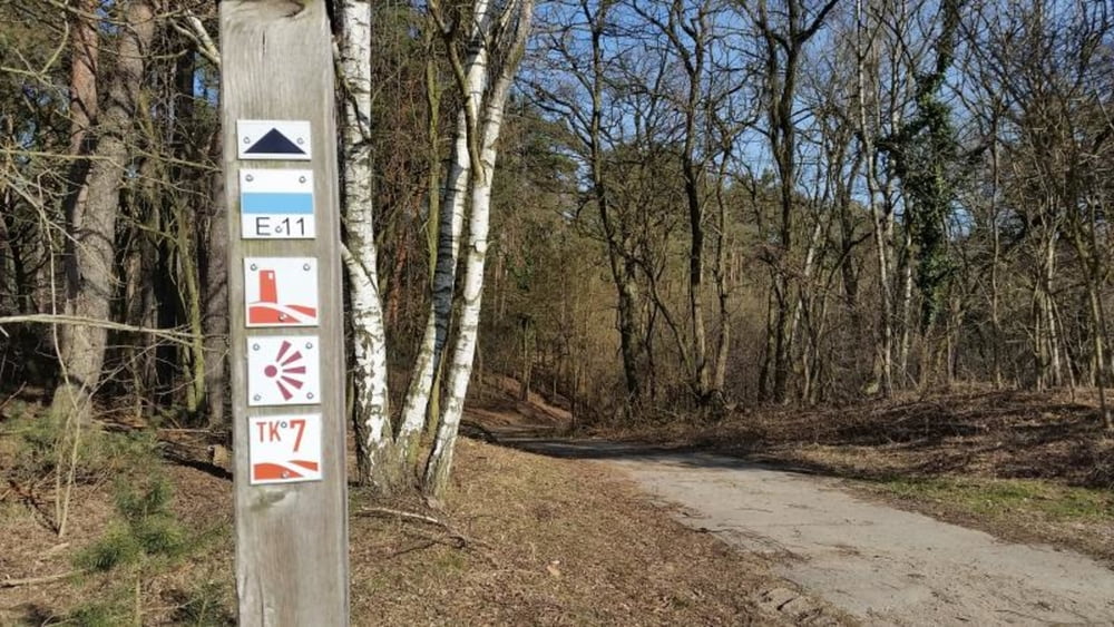 242. Bad Belzig, Burgenwanderweg, Teil 11