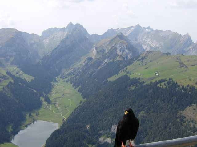 Brülisau - Hoher Kasten - Sämtisersee