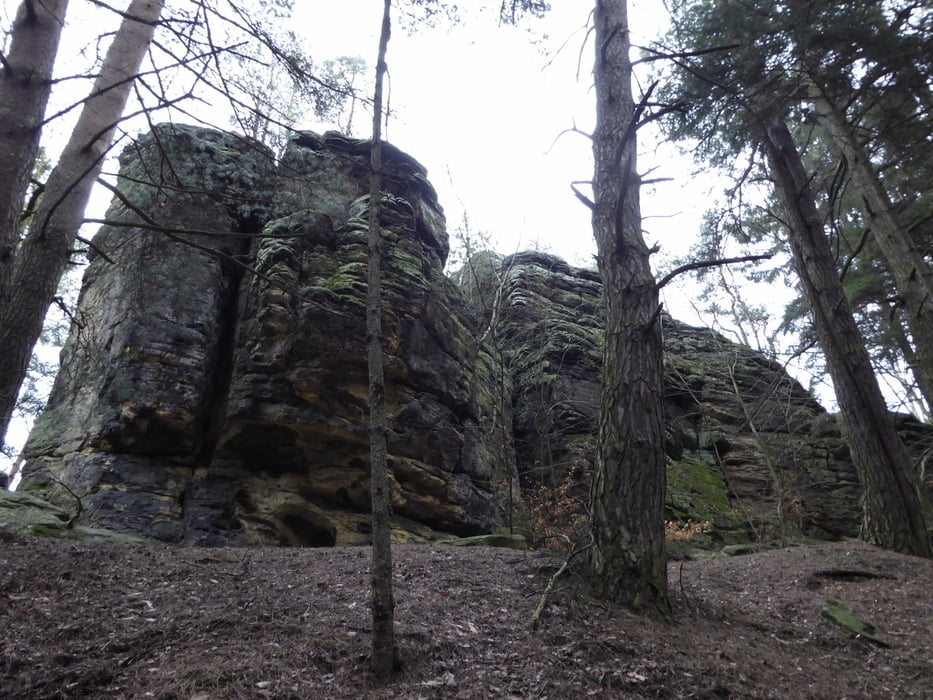 Lutter am Barenberge - Bodensteiner Klippen - Walderlebnispfad