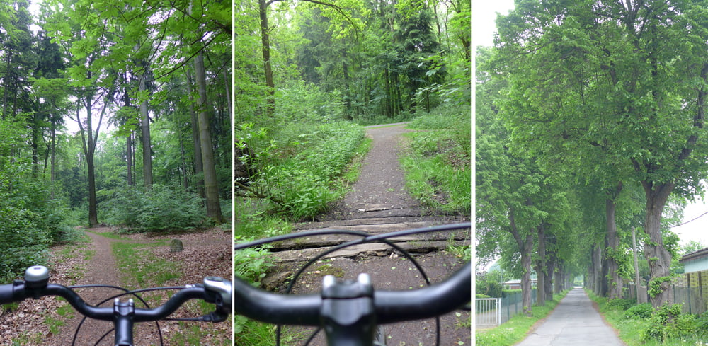 #mdrza #stadtradeln #radklima #criticalmass (im Viererpack anno 2017 unterwegs)