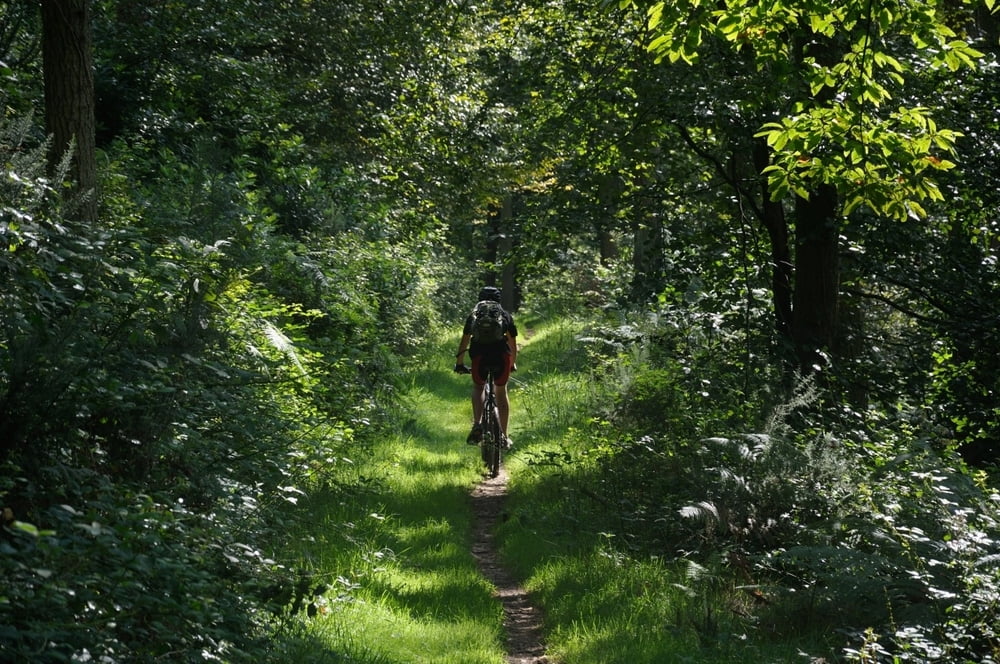 Sidmouth Trails