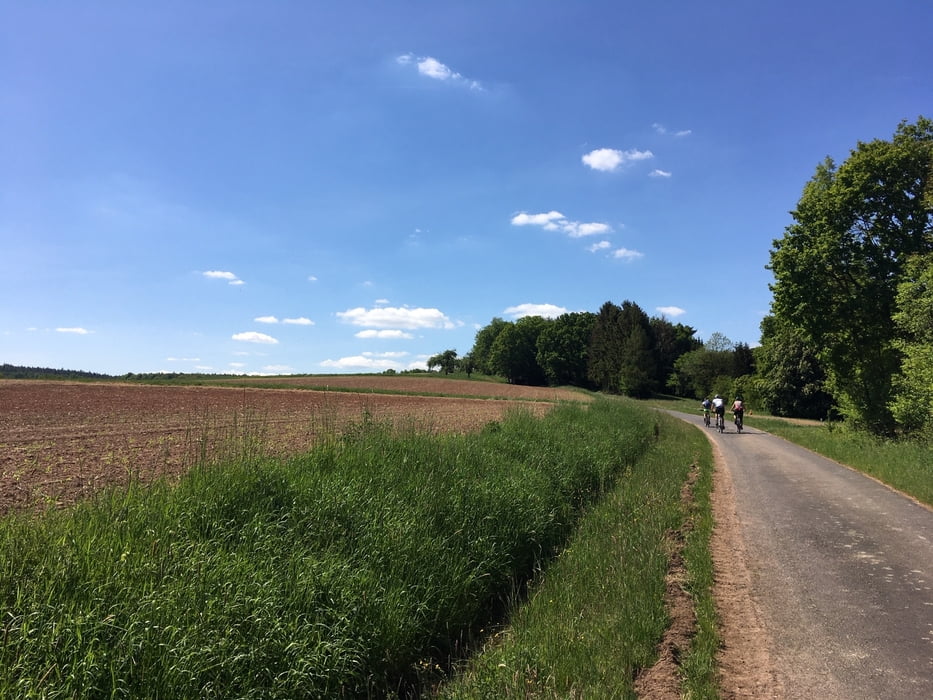 Im Seulingswald