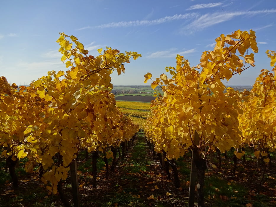 Von Hüttenheim auf den Tannenberg