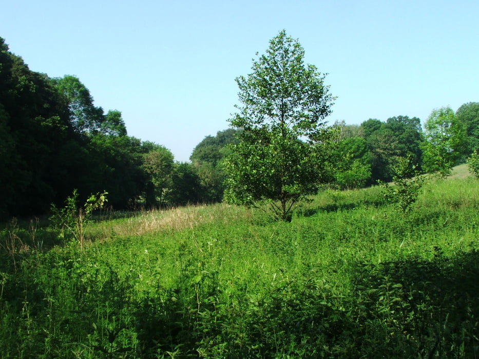 Ruhrgebiet: Mülheim