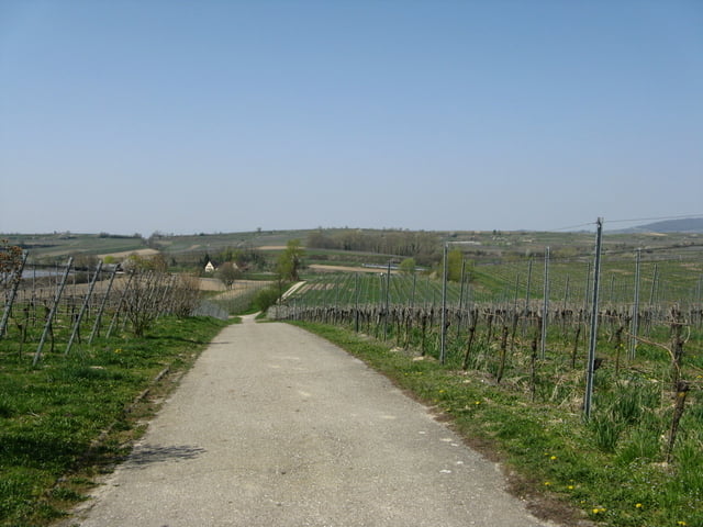 Vogesen Rundtour