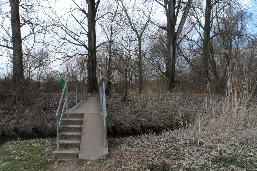 Brücke