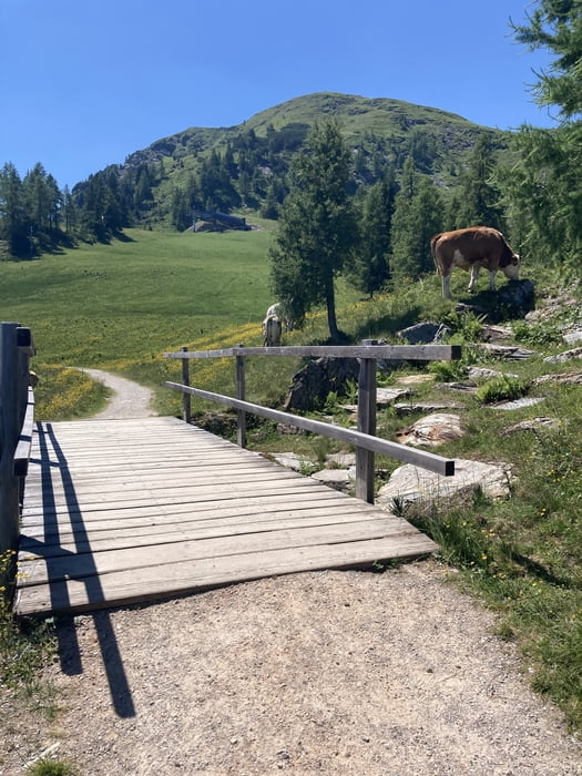 Rundweg Reiteralm (27.06.2026)