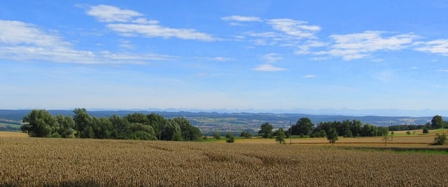 Blitzenreuter Seenplatte, Weingarten