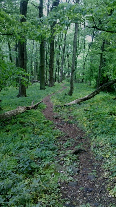 Trails around Gießen