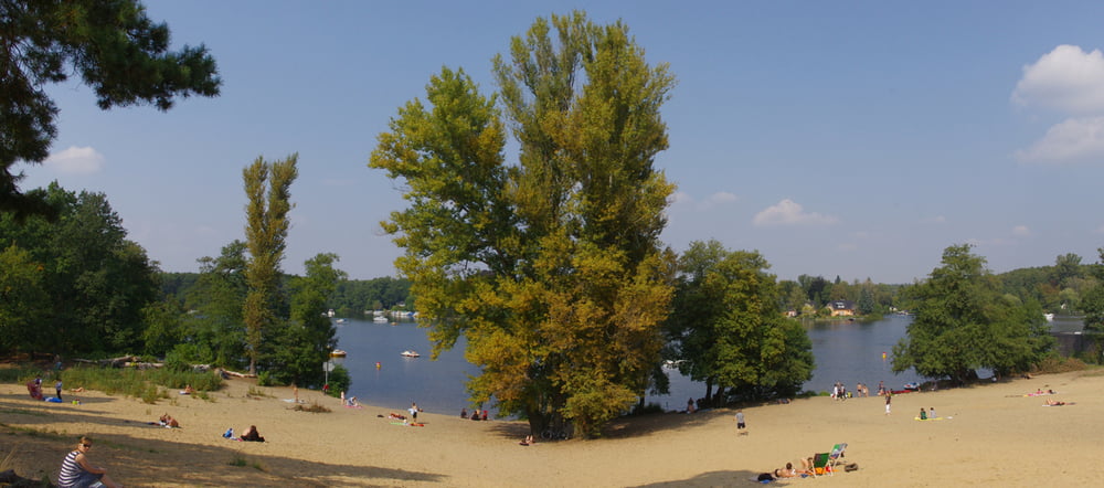 Am Müggelsee