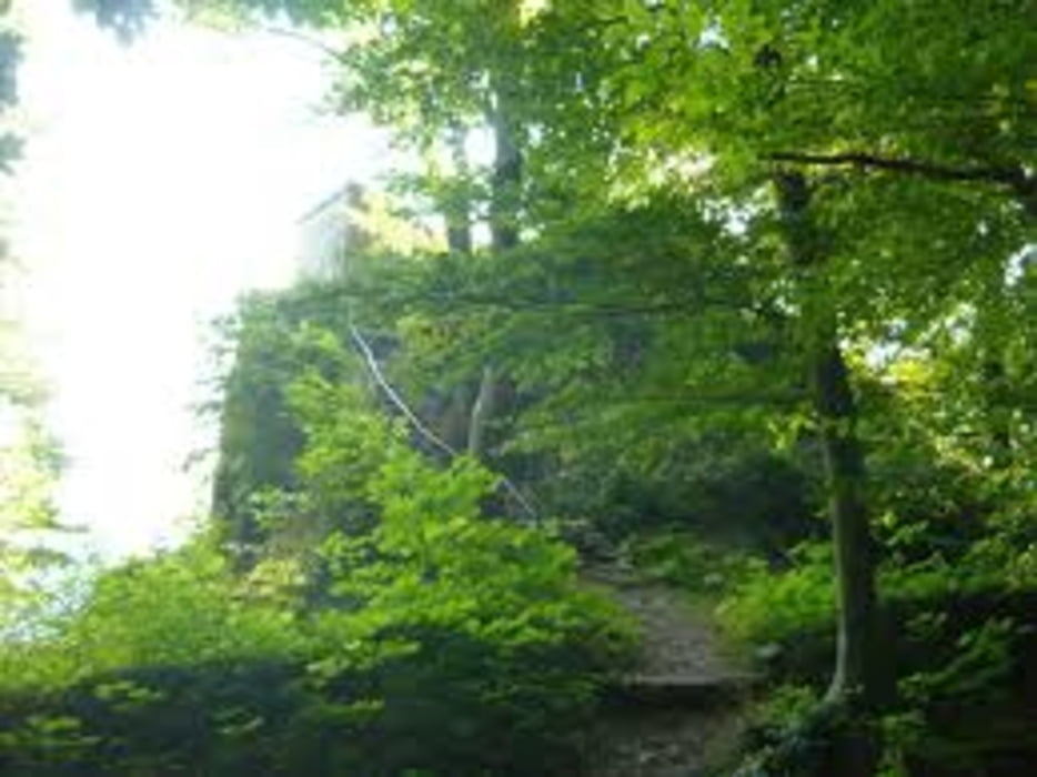 Kleine Eschenbach-Runde