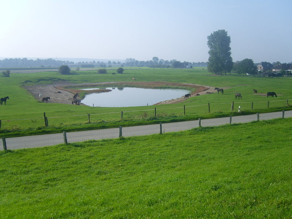 Tour mit viel Wasser - Emmerich/Holland Rundtour