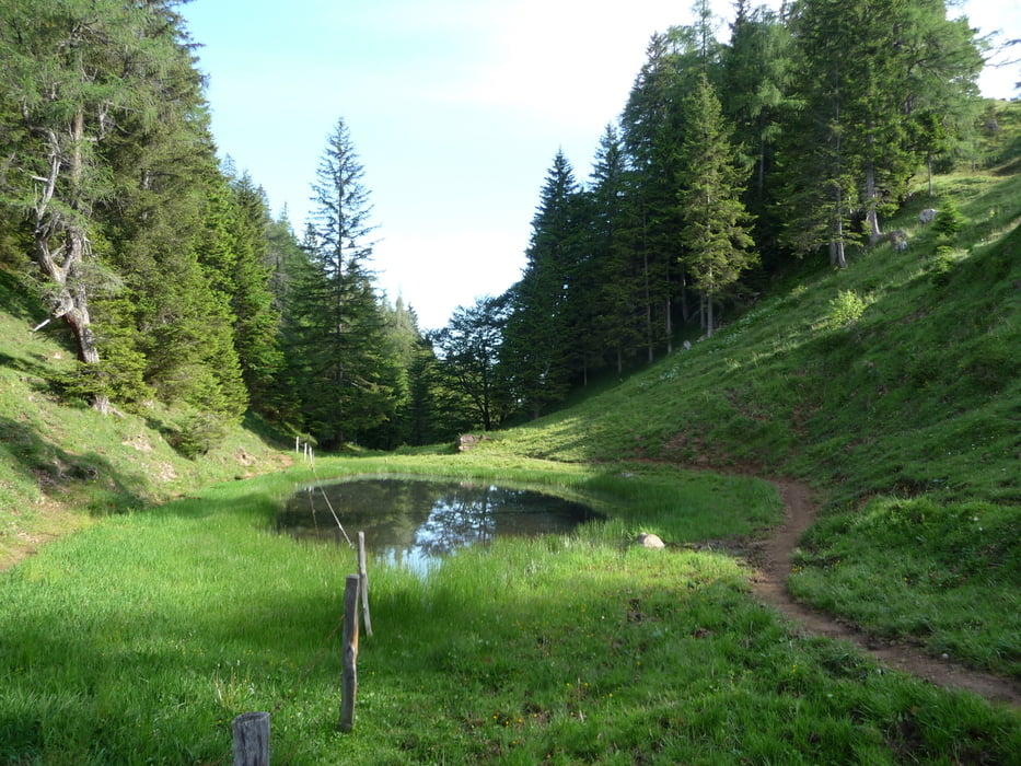 Hösljoch-Saulueg-Bischhoferjoch (MTB-Tour2)