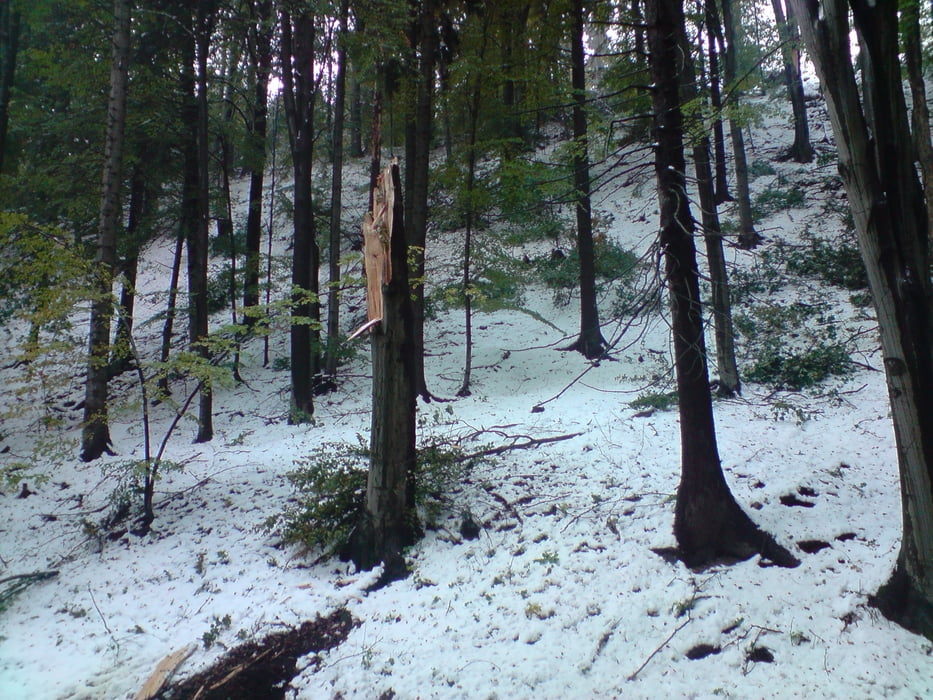 Kamenná Horka-Hřebeč-Svitavy