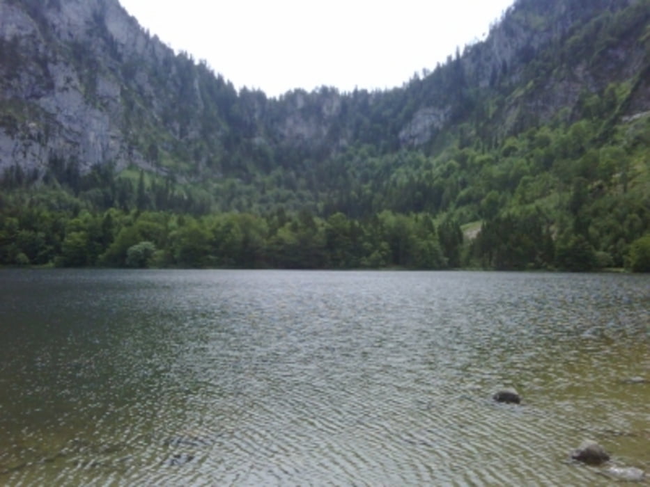 Gmunden, Grünberg, Laudachsee, Kaltenbachwildnis,  Hois´n