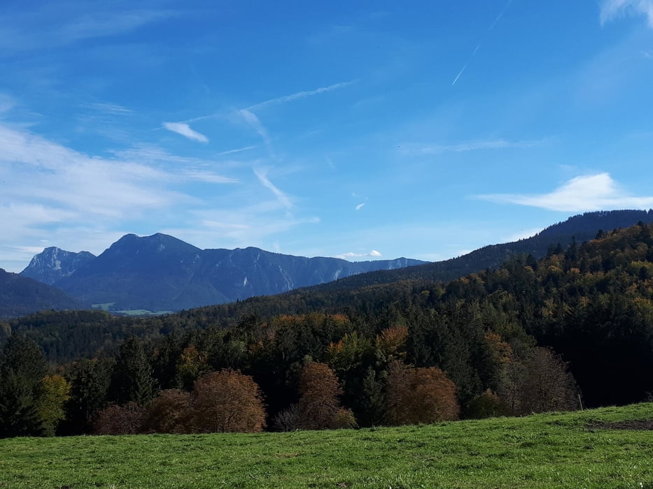 Zinnkopf
