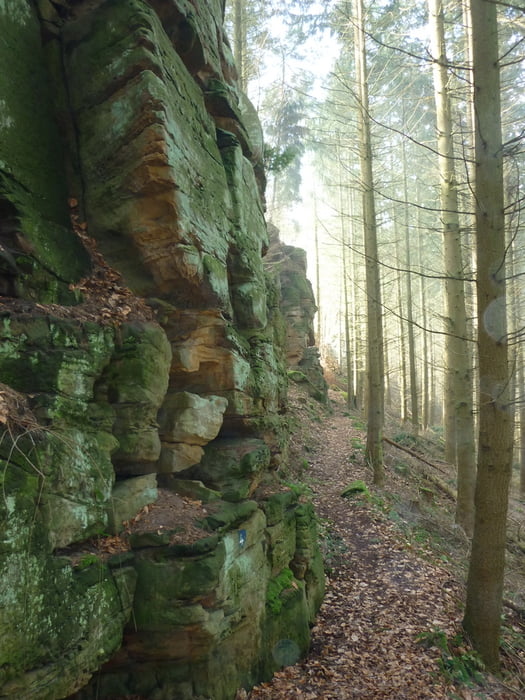 Rund ums Ferschweiler Plateau