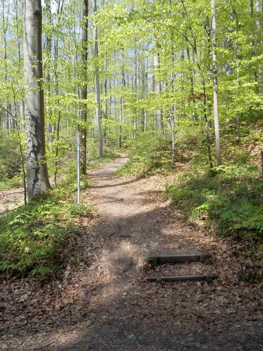 und noch ein paar Gehrenbergtrails...