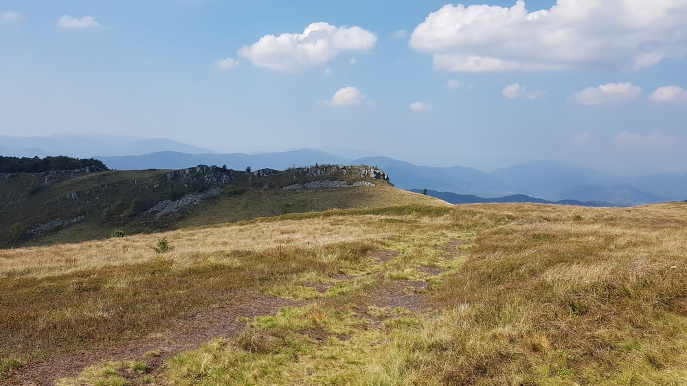 Pikuj