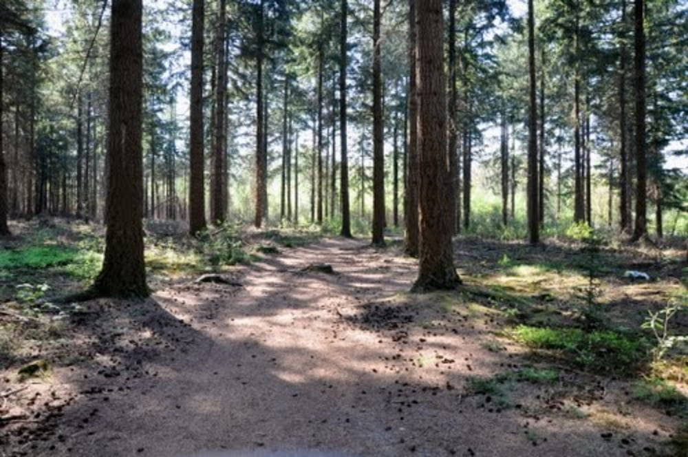 Schitterende ronde van 15 km over Veluwe vanaf Landal Nieuw Milligen