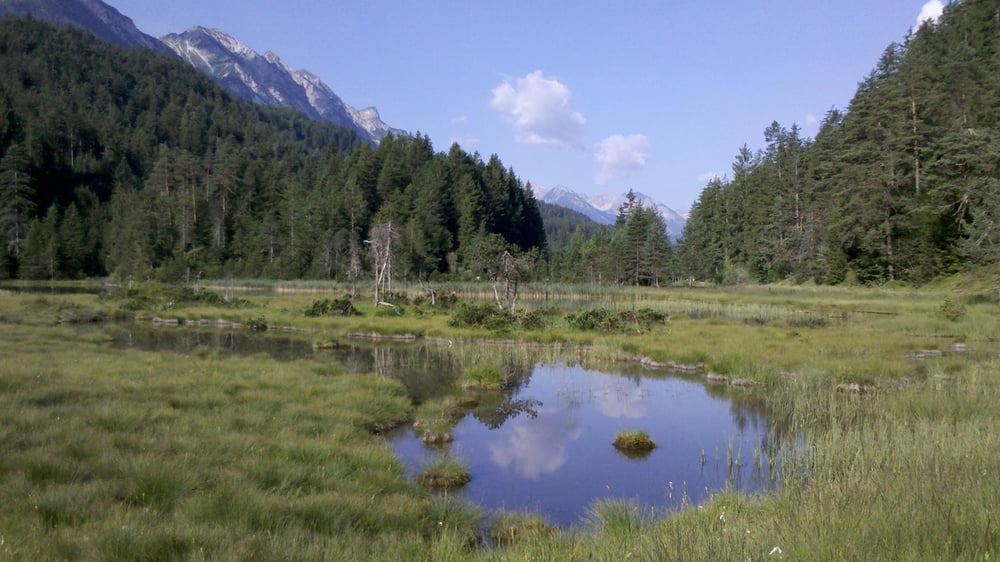 Tiroler Schleifen