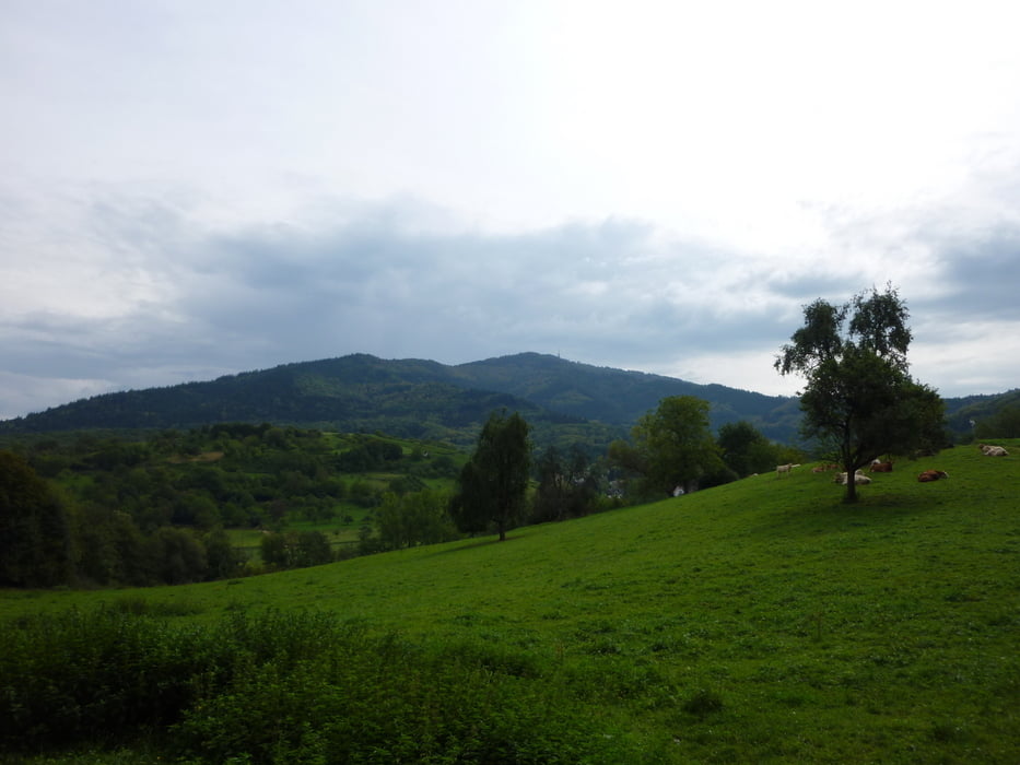 Grüni´s Traumtour durch´s Markgräflerland Nr.3