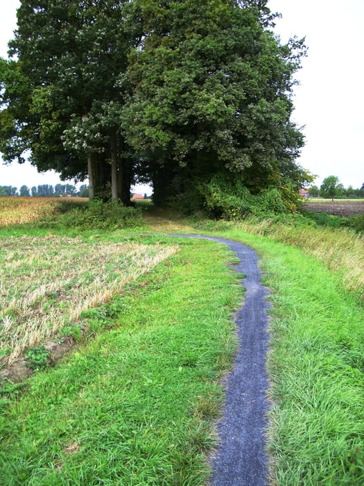 Auf Pättges nach Münster