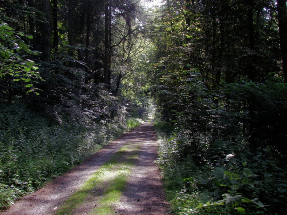 Herbsthäuschen