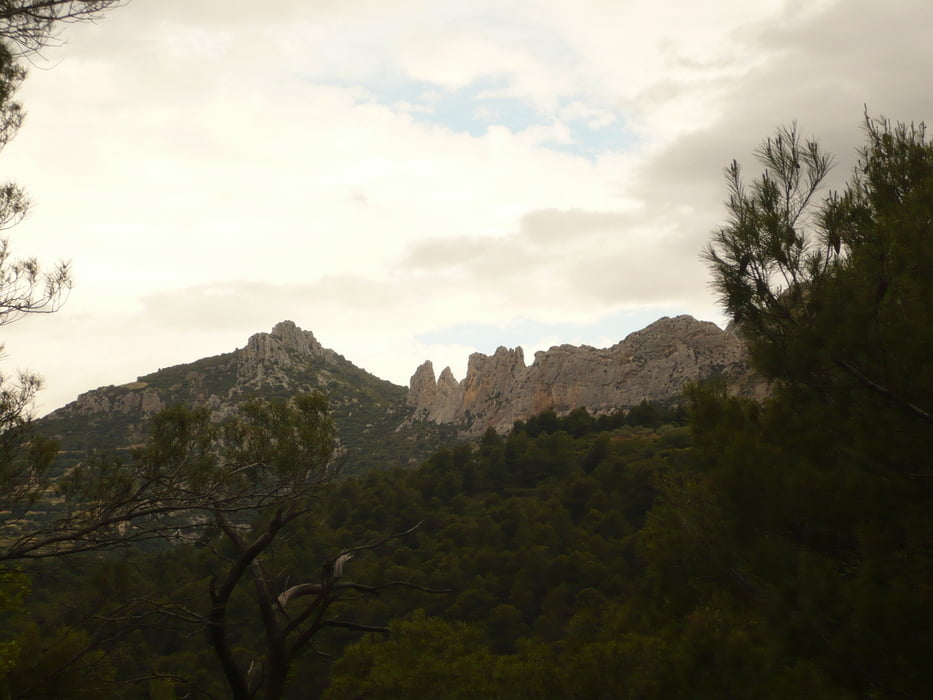 Dentelles de Montmirail