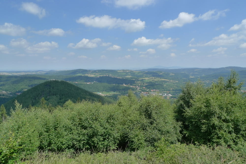 Jedlina-Zdrój - Jałowiec - Jedlina-Zdrój