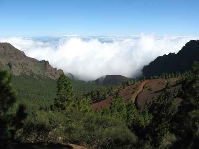Corral del Niño II